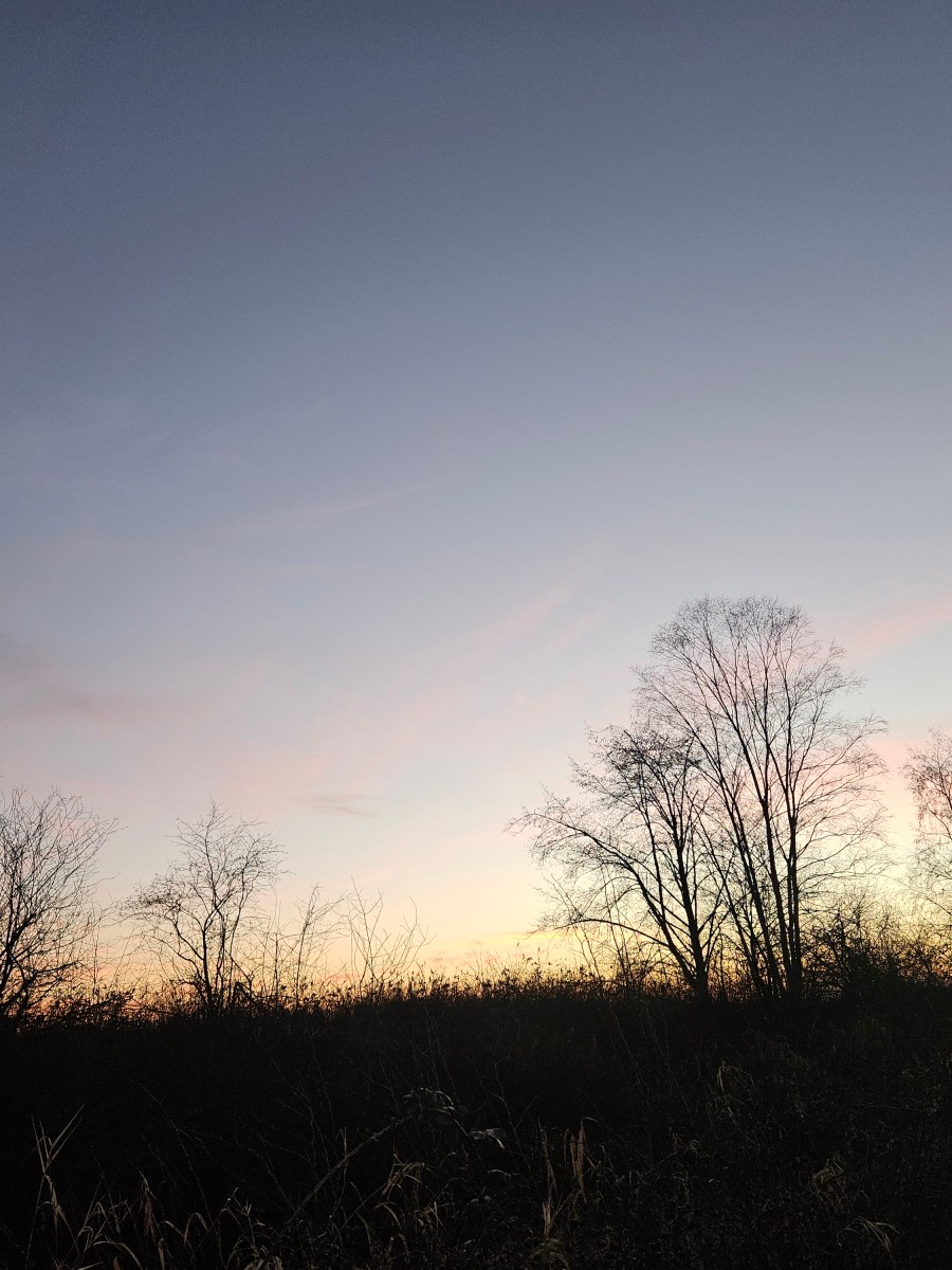 Another Manic Monday