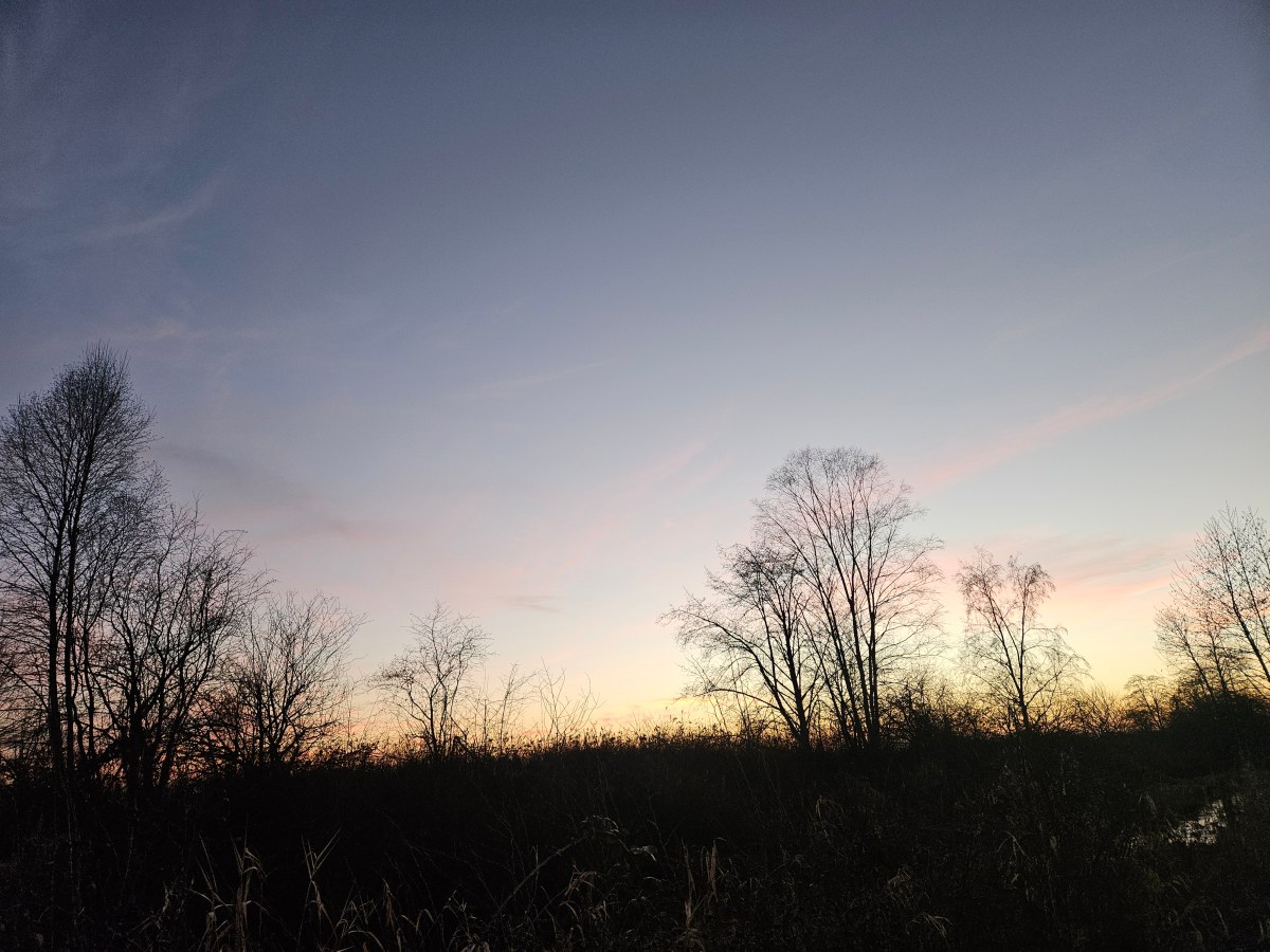 Another Manic Monday