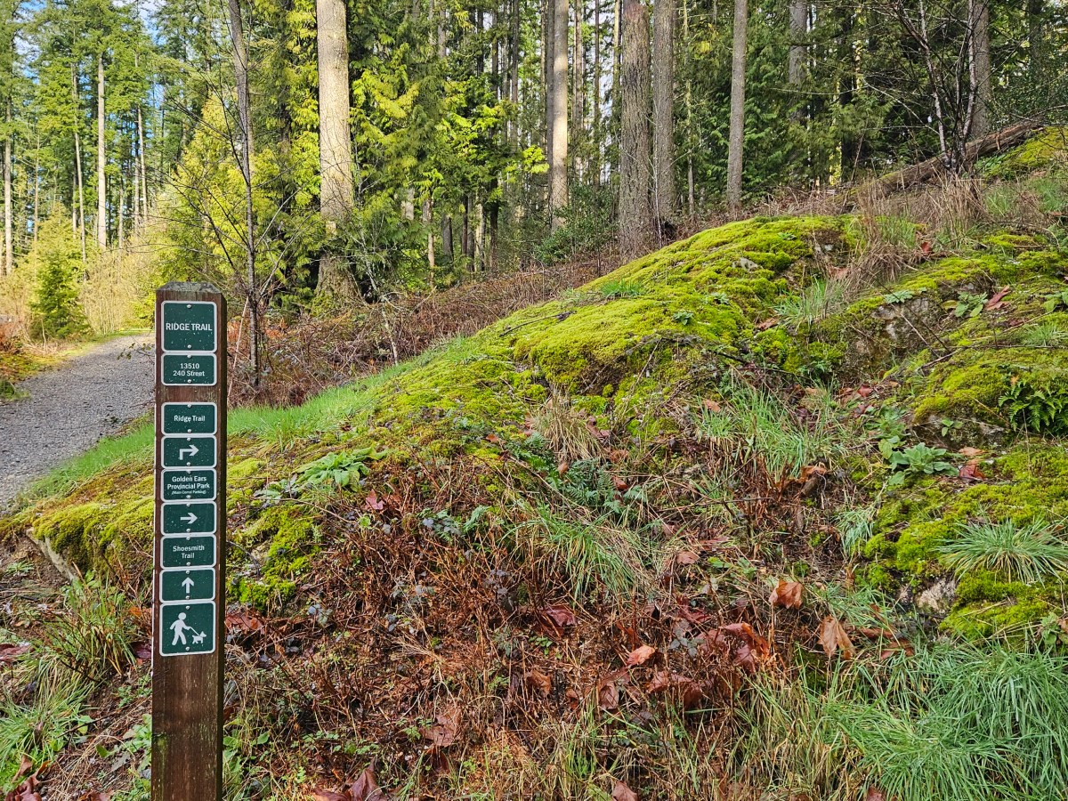 Tell Me Who Wrote the Book of Love (spoiler: Experience&nbsp;Did)