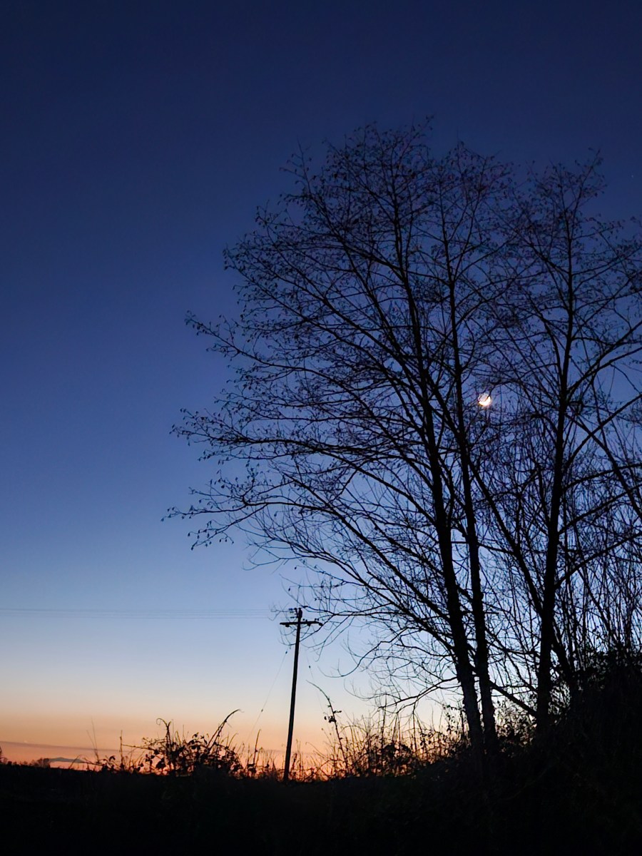 Seek and Ye Shall Find, Find Too Much and then Stop&nbsp;Seeking