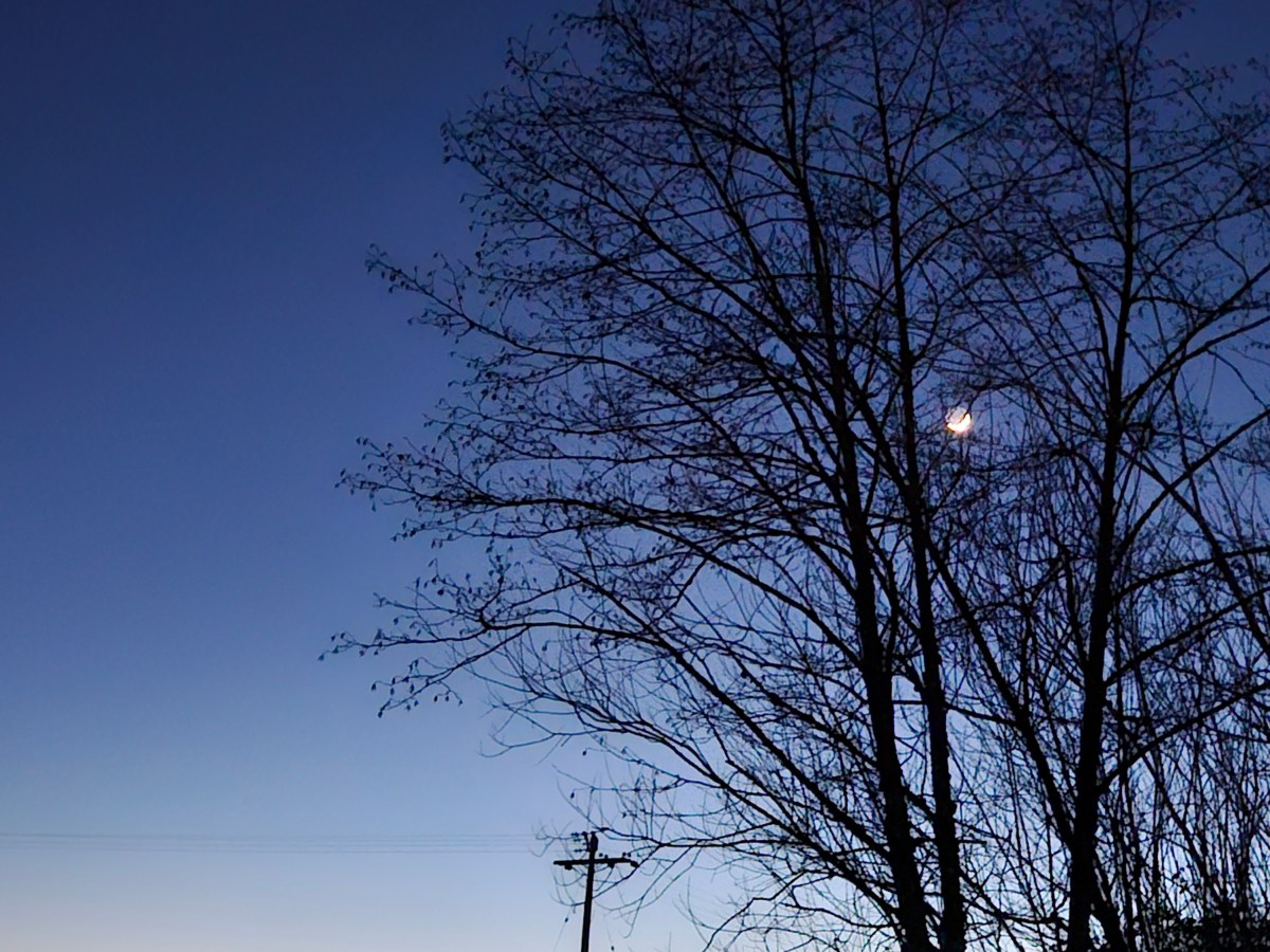 Seek and Ye Shall Find, Find Too Much and then Stop&nbsp;Seeking