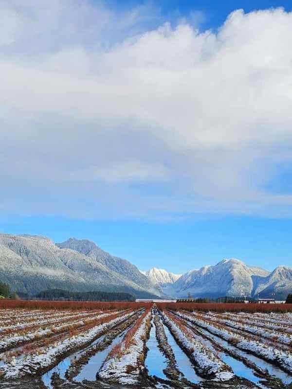 The Biggest Challenge is to Keep at It Until It’s Not a Challenge&nbsp;Anymore